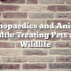 Orthopaedics and Animal Health: Treating Pets and Wildlife
